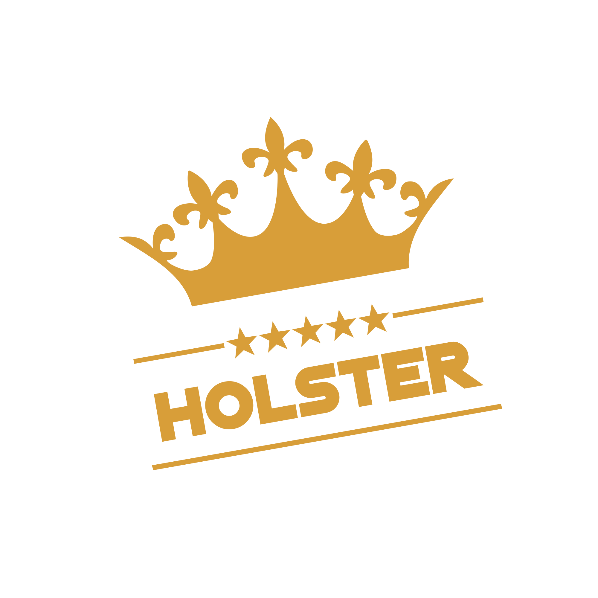 Holster
